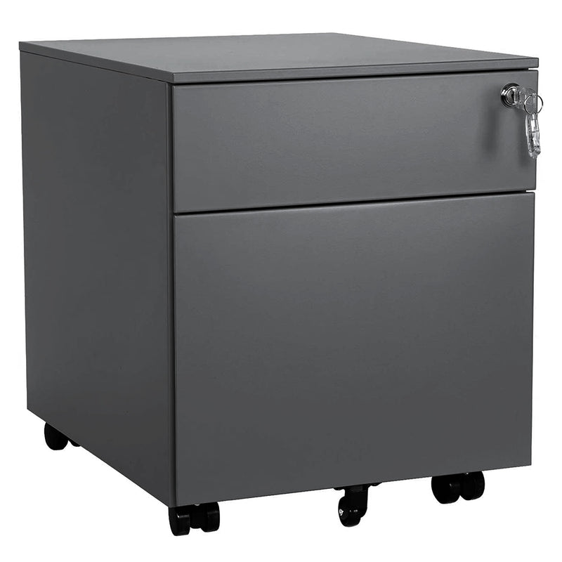 2 Drawer Mobile File Cabinet with Lock Metal Filing Cabinet for Legal/Letter/A4/F4 Size, Fully Assembled Include Wheels, Home/Office Design