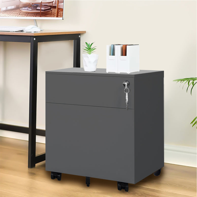 2 Drawer Mobile File Cabinet with Lock Metal Filing Cabinet for Legal/Letter/A4/F4 Size, Fully Assembled Include Wheels, Home/Office Design