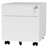 2 Drawer Mobile File Cabinet with Lock Metal Filing Cabinet for Legal/Letter/A4/F4 Size, Fully Assembled Include Wheels, Home/Office Design