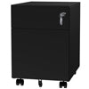 2 Drawer Mobile File Cabinet with Lock Metal Filing Cabinet for Legal/Letter/A4/F4 Size, Fully Assembled Include Wheels, Home/Office Design